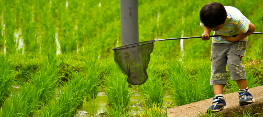 キッズデザイン賞