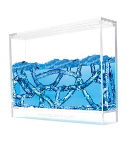 アントクアリウムエルツー
